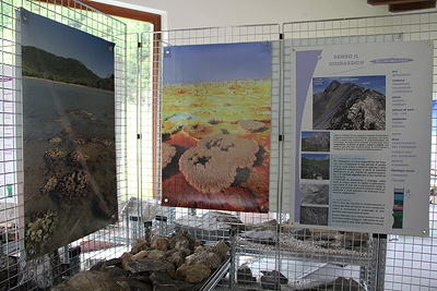Museo geologico della Gardetta